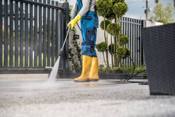 Best House Exterior Washing  in Celoron, NY