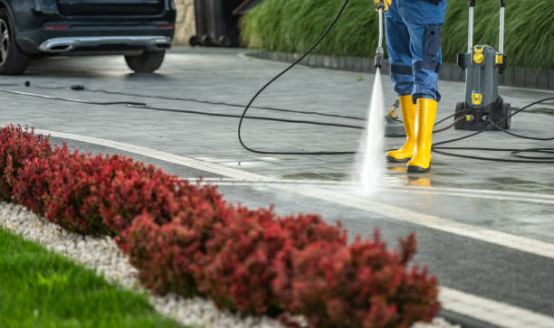 Best Sidewalk and Walkway Cleaning  in Celoron, NY