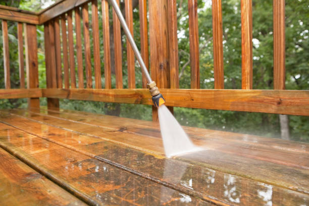 Best Solar Panel Cleaning  in Celoron, NY
